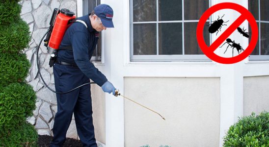 Yenifakılı Böcek ve Haşere İlaçlama böcek ilaçlama ve haşere kontrolü — ilaclama-tr.com
